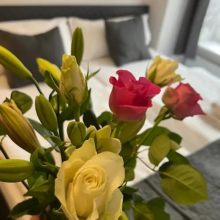Boston Hotel Karlovy Vary