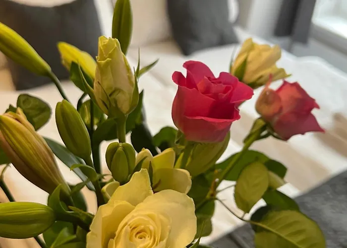 Boston Hotel Karlovy Vary